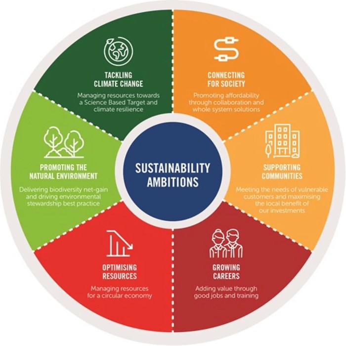 Sustainability unk long term plan edu infographic reveals sara writer giboney