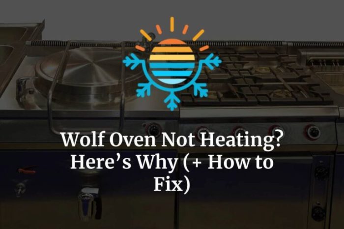 Wolf oven repair