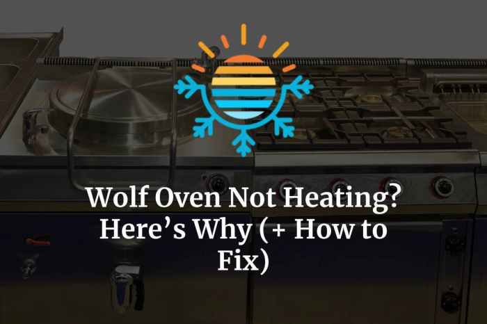 Wolf microwave oven speed convection ovens microwaves built appliances wall steam drawer kitchen subzero down door repair