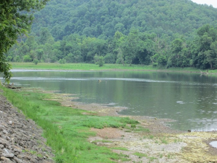 Bull shoals white river state park