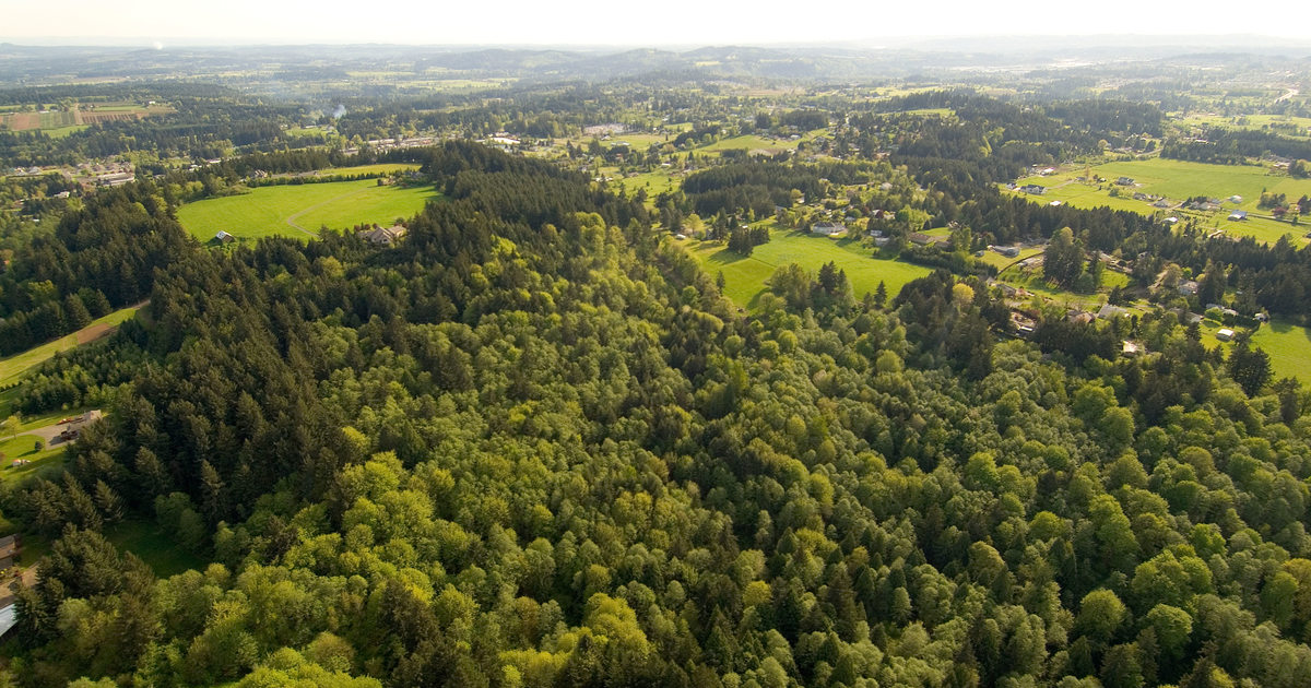 Scouters mountain nature park