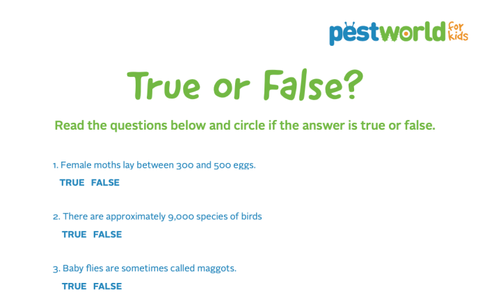 Mini Exams for True/False Questions