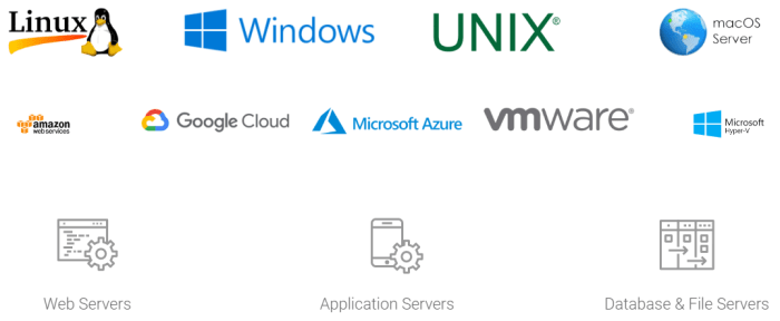 Media convergence server and user growth monitoring