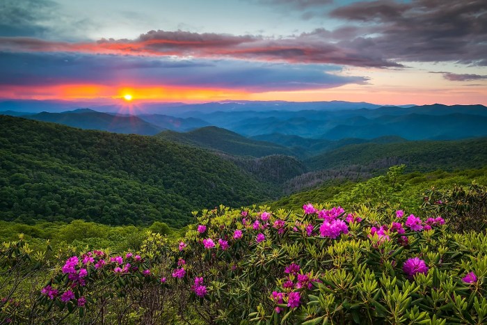 Rocky mountain north carolina zip code