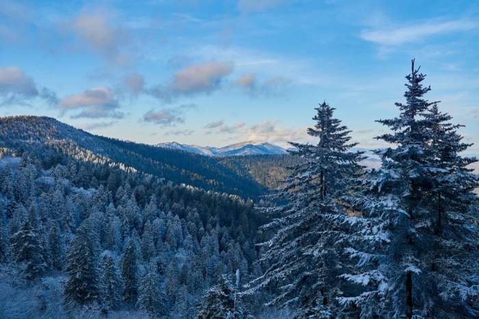 Great smoky mountains in december