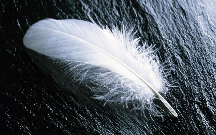 Feather fan