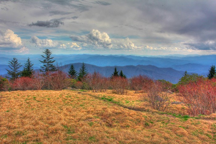 Andrews bald smoky mountains