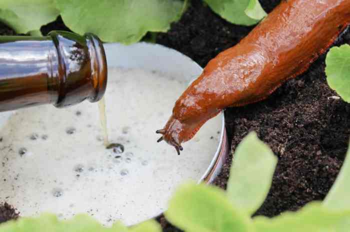 Slugs kill wrappedinrust