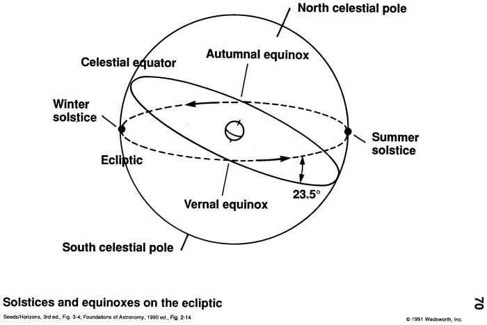 Birds and the Equinox: A Celestial Connection