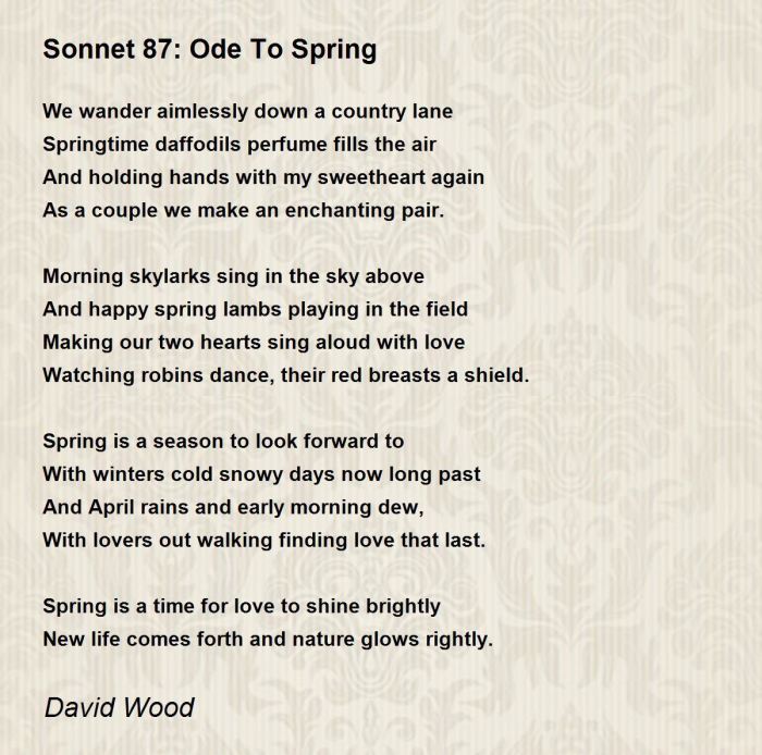 Ode to Spring: A Tribute to the Birds