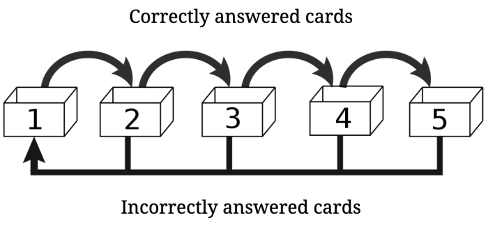 Mini Exams for Quiz Spaced Repetition Tools