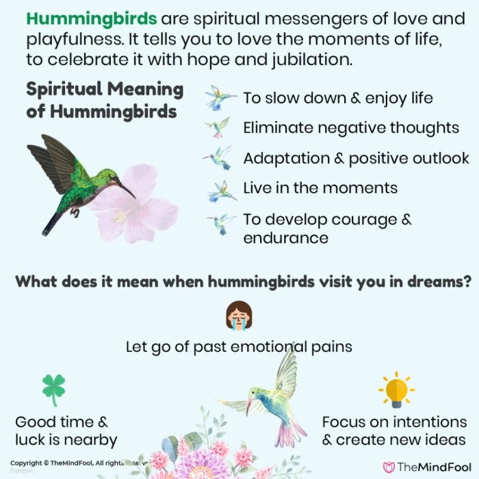 Hummingbird spirit folklore guide symbolism witchcraft guides july green