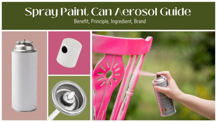 12 oz aerosol paint for a door