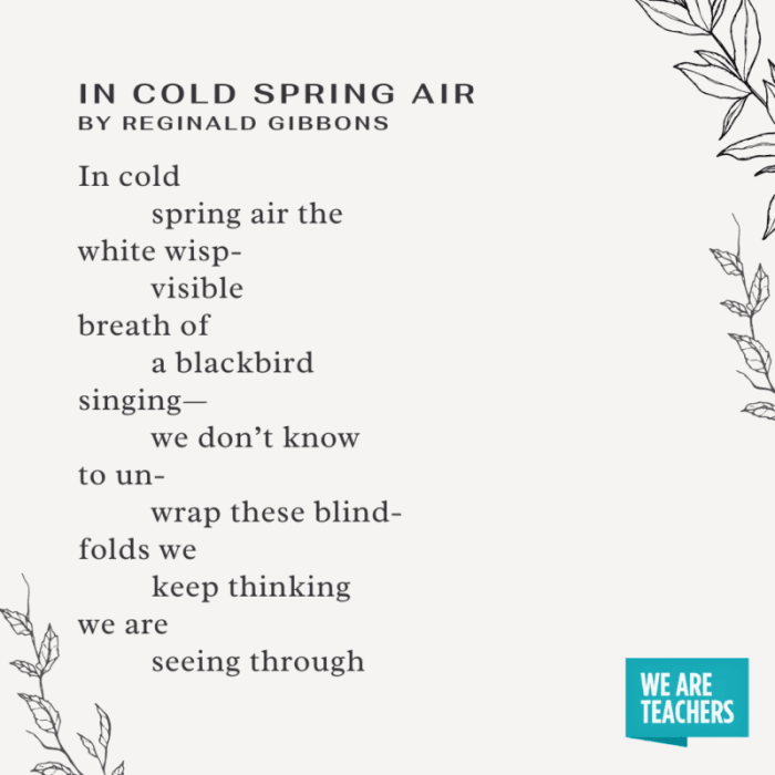 Birds and the Poetry of Spring