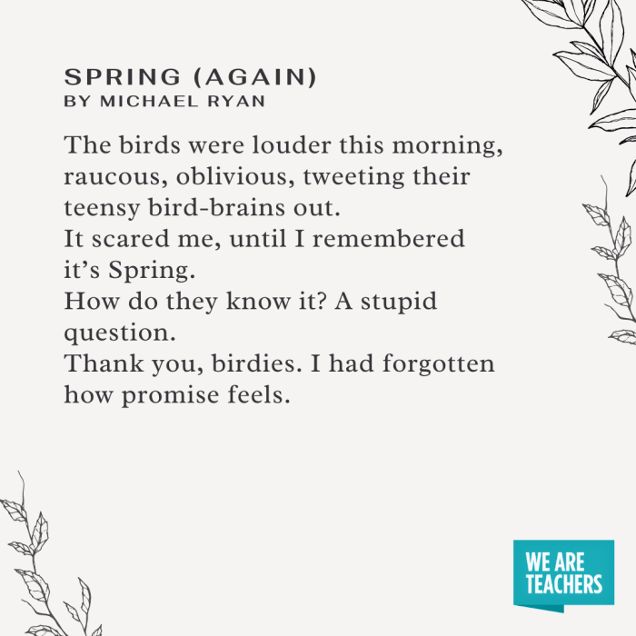 Found Poem of Spring: Words Inspired by Birds