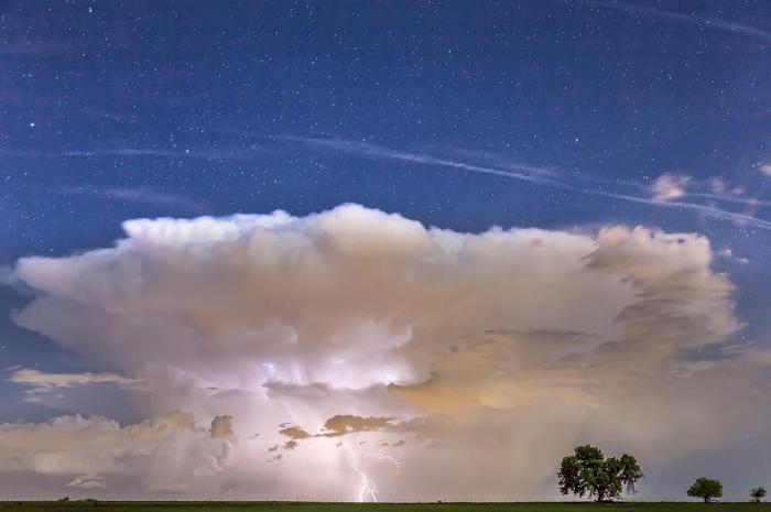 Birds and Thunderstorms: A Springtime Storm