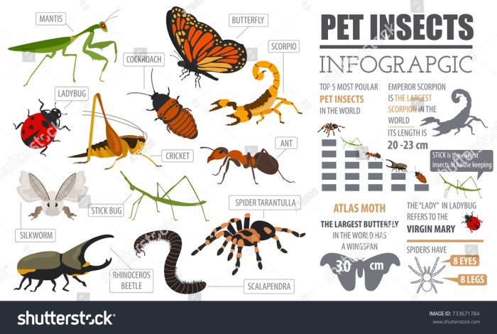 The impact of pets on bug populations