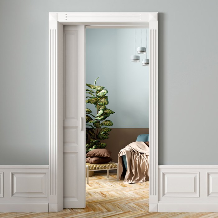 Pocket door and frame