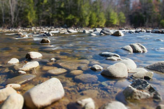 River stones