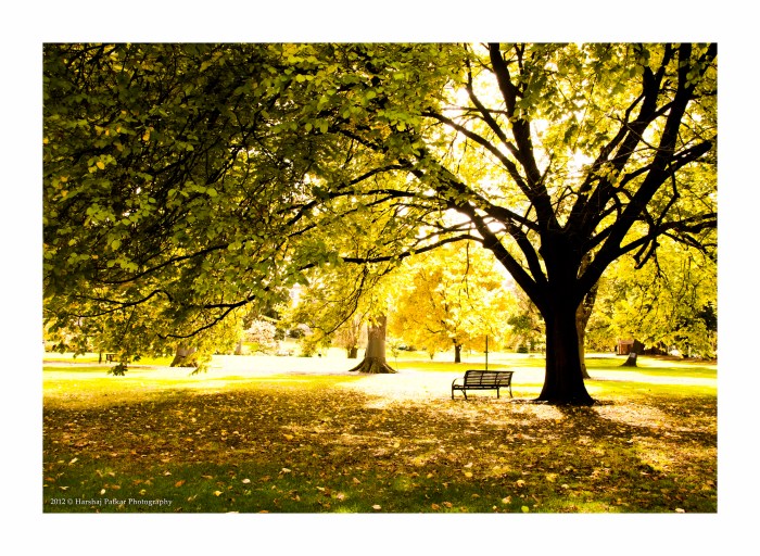 Yellow Hall Tree Bench: A Bright and Cheerful Hue