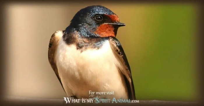 Swallows as Emblems of Return and Renewal