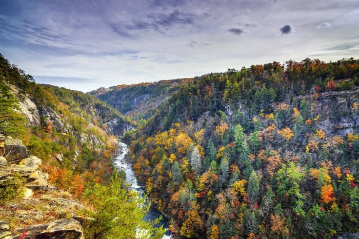 North georgia mountains