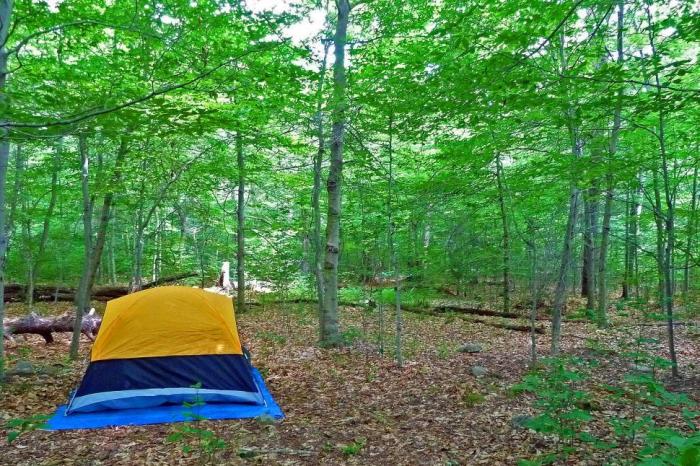 Woods tents