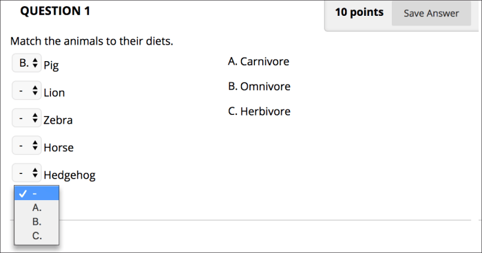 Mini Exams for Matching Questions