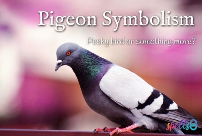 Pigeons as Emblems of Love and Devotion