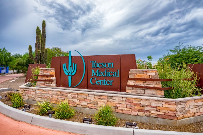 Mountain lion tucson medical center