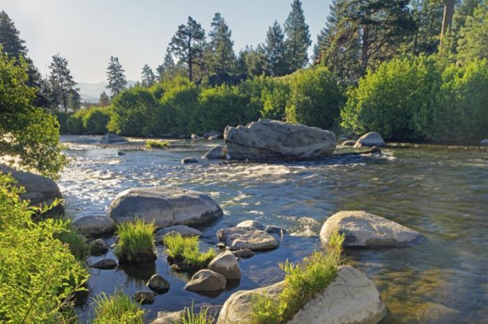 Truckee river summer watereducation