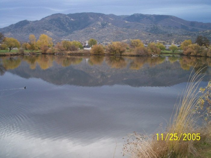 Tehachapi mountain brewing co.