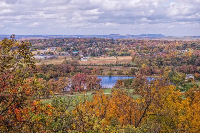 Hubert engle mountain view ar