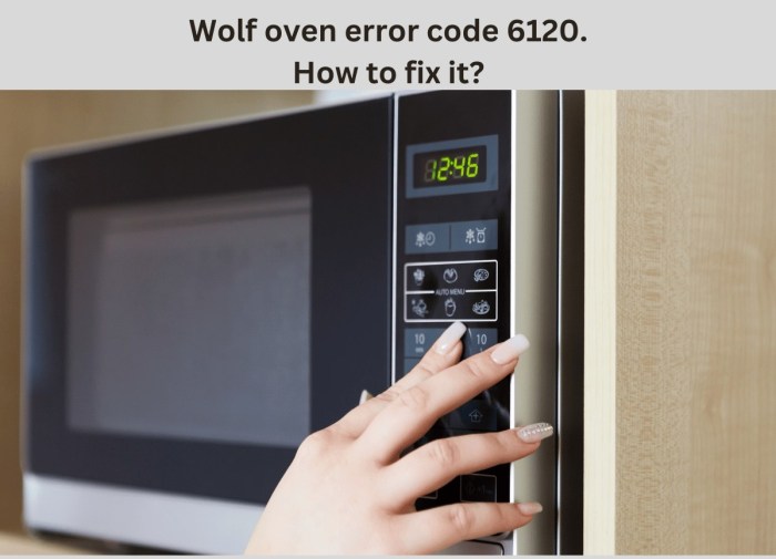 Wolf Oven Customer Service Complaint Resolution