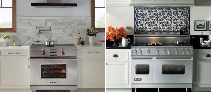 Wolf Oven vs. Samsung Ovens