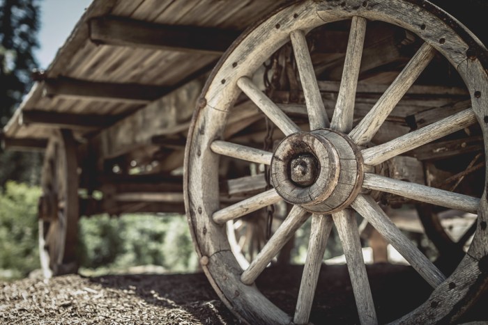 Wheel wagon wooden close spokes bernedoodles poodles doodles stagecoach giddy depth shallow field