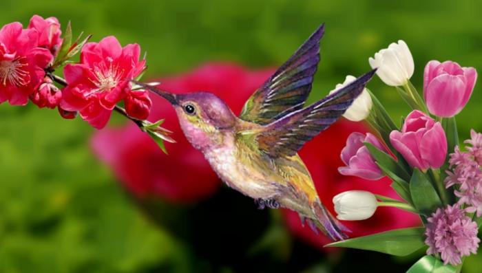 Wallpaper birds flowers bird roses blue pink forwallpapercom wallpapersafari