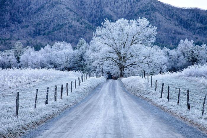 Smoky mountains winter