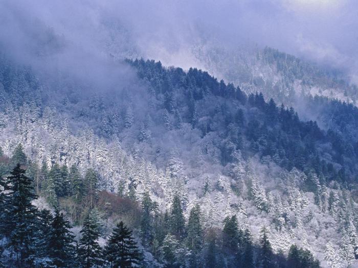 Snow smoky winter scenes mountain wallpaper great mountains cove cades tennessee gatlinburg park national tn scenery january hiking cade beautiful