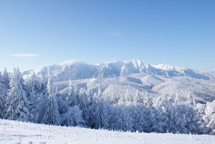 Great smoky mountains winter